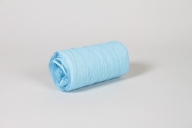 ZR-000043 Roll of synthetic raffia blue 200m